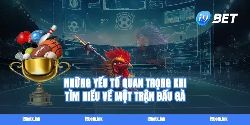 Những yếu tố quan trọng khi tìm hiểu về một trận đấu gà