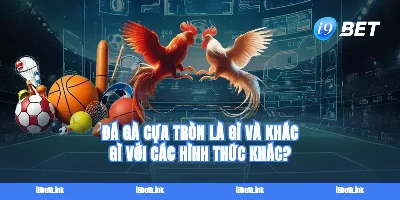 Đá gà cựa tròn là gì và khác gì với các hình thức khác?