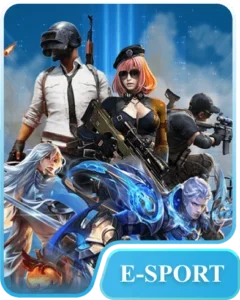 hometype esports 240x300 1