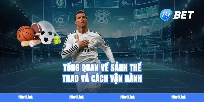 Tổng quan về sảnh Thể thao và cách vận hành